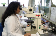 computer vision microscope lab